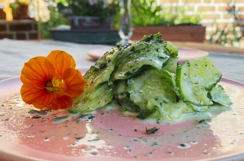 Klassischer Gurkensalat Sahne mit Dill : Ein Frischekick der Extraklasse!