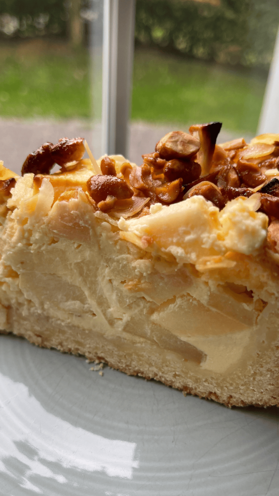 Das Bild zeigt einen selbst gemachten Apfelkuchen. 