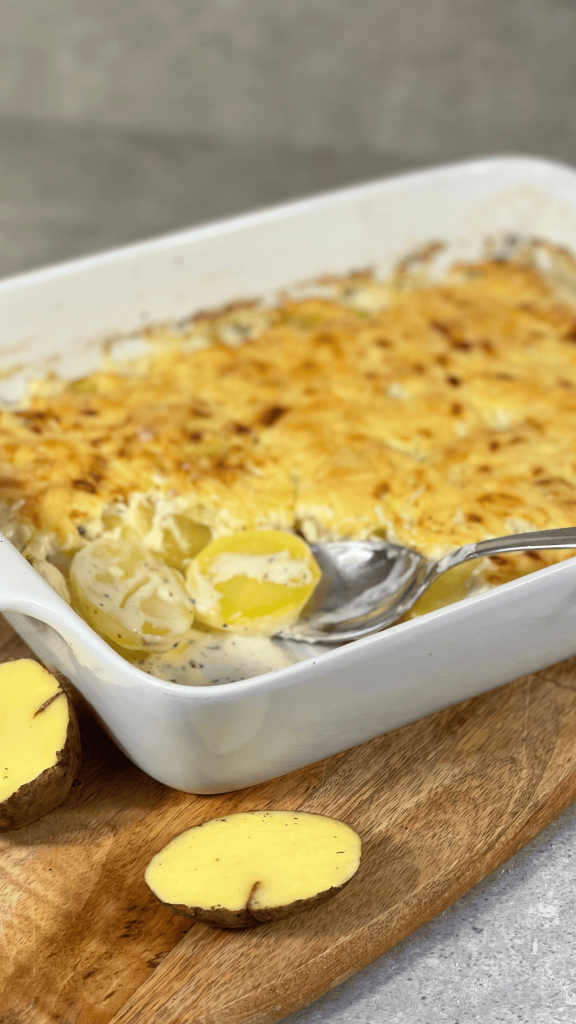 Das Bild zeigt einen selbstgemachten Kartoffelgratin.