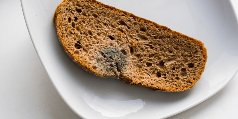 Schimmel in deinem Brot? Der gefährliche Fehler, den fast jeder macht
